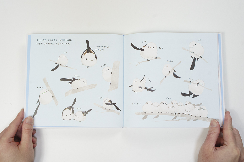 シマエナガのずかん