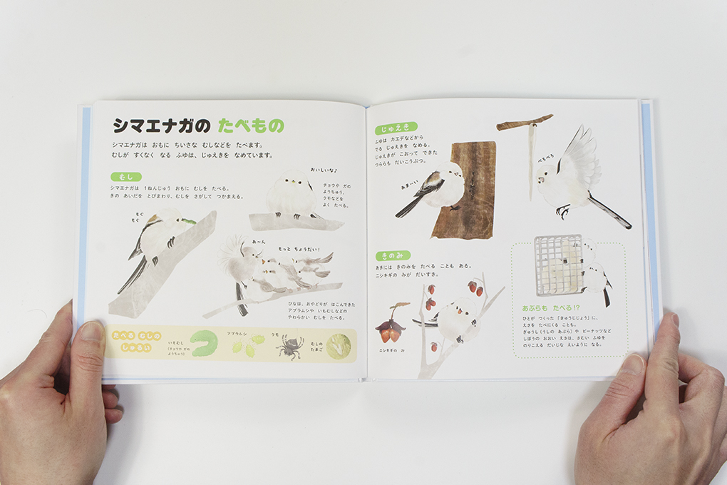 シマエナガのずかん