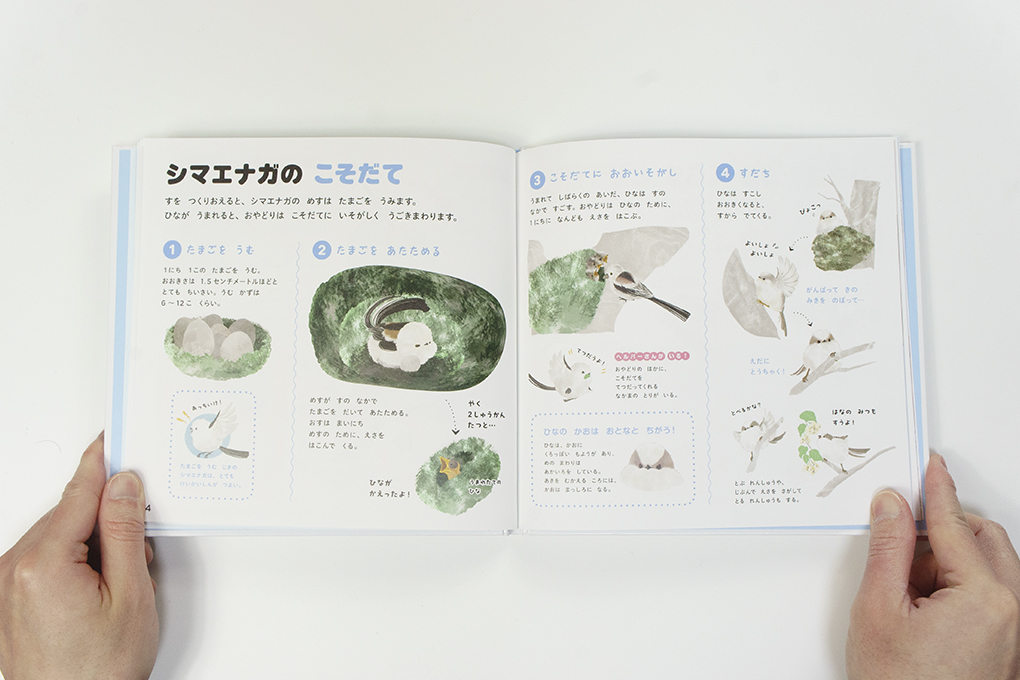 シマエナガのずかん