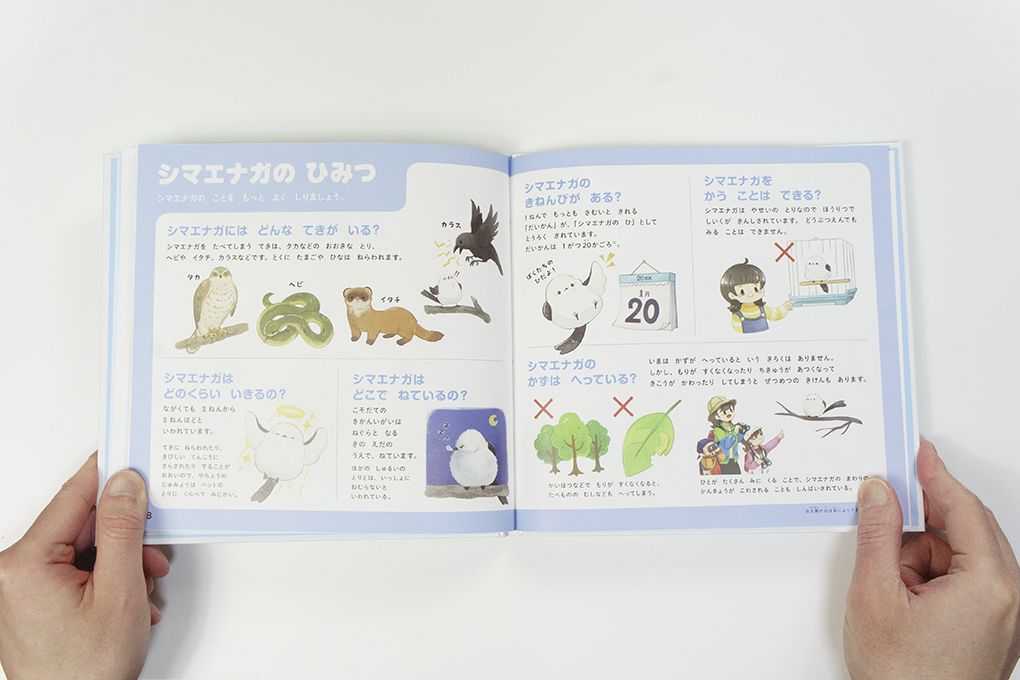 シマエナガのずかん